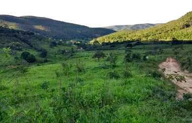 Imagem 14: Vendo Fazenda 53 Alqueires / 253 hectares