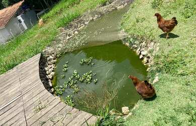 Imagem: A fazenda possui 8.000m² de Área e está localizado em Mairinque