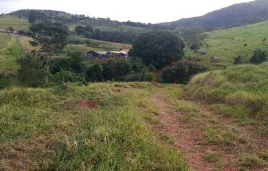 Imagem 2: Chacara 02 Alqueires Rica em Aguas e cultura Municipio Cocalzinho