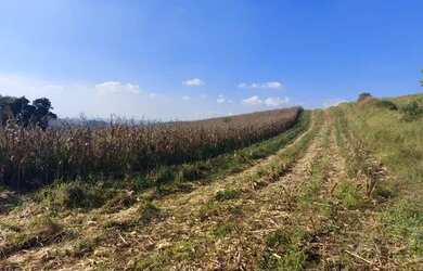 Imagem: O terreno possui 500m² de Área e está localizado em Vila