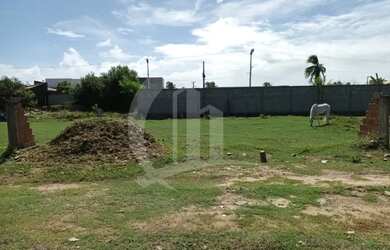 Imagem: O terreno possui 250m² de Área e está localizado em São