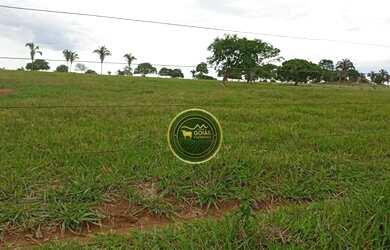 Imagem 13: 197 Alqueires Novo Brasil