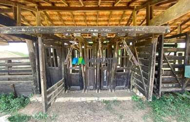 Imagem 10: FAZENDA À VENDA - 1.300 HECTARES - BURITIS MG