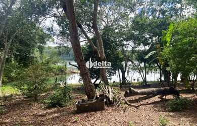 Imagem: A fazenda possui 103000m² de Área e está localizado em Área