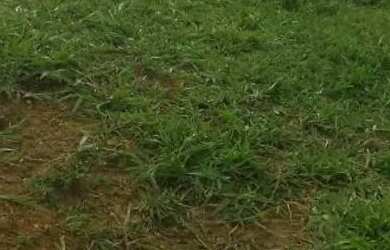 Imagem 3: Terreno. 2.300m² de Área