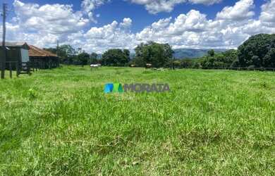 Imagem 4: FAZENDA À VENDA - 1.300 HECTARES - BURITIS MG