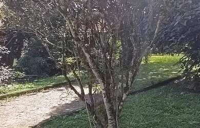 Imagem 9: Terreno de 1.400m2 à venda na Ilha de Guaratiba - Rio de Janeiro - RJ