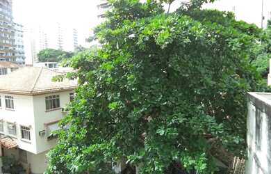 Imagem 3: Apartamento com 3 dormitórios à venda, 90 m² por R$ 850.000,00 - Icaraí...