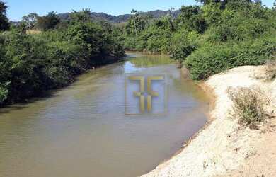 Imagem 4: Fazenda 152 Alqueires, Sao Luis De Montes Belos, GO