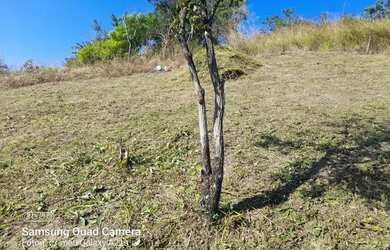 Imagem: O terreno está localizado em Tribobó, São Gonçalo à venda
