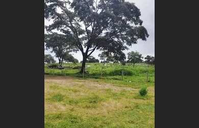 Imagem 14: Fazenda 38 Alqueires Vale do Araguaia