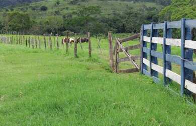 Imagem 12: Fazenda Rica em agua 80 Mil por Alqueire 241