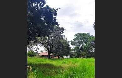 Imagem 10: Fazenda 38 Alqueires Vale do Araguaia