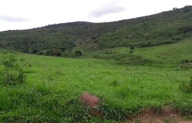 Imagem 3: Vendo Fazenda 53 Alqueires / 253 hectares