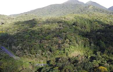 Imagem 5: Área à venda, 79601 m² por R$ 300.000,00 - Portal da Graciosa - Campina Grande do Sul/PR