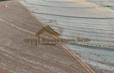 Imagem 6: Sítio com 17 alqueires terra vermelha em Quadra/SP