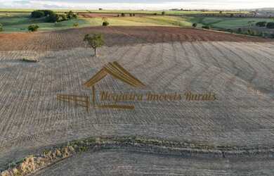 Imagem 2: Sítio com 17 alqueires terra vermelha em Quadra/SP