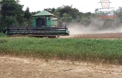 Imagem: A fazenda possui 10030000m² de Área e está localizado em