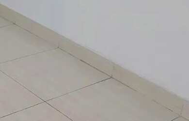 Imagem 2: Pilares. 1 Banheiroe1 Dormitório