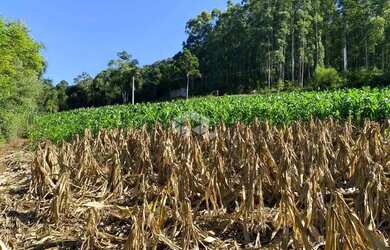 Imagem 10: Chácara com vista e riacho na Serra Gaúcha