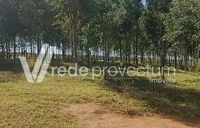 Imagem 9: Terreno - Bonfim - Paulínia