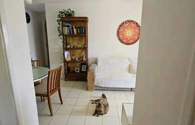 Imagem 13: Imbuí Perto de Td, Nascente, Infra, R$ 249.999