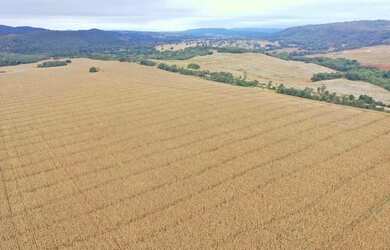 Imagem 5: Fazenda a venda, em Santa Cruz de Goiás