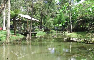 Imagem: A fazenda possui 4735m² de Área e está localizado em Borda