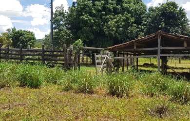 Imagem 6: Vendo Fazenda áceito carro ou dinheiro, não aceito troca em outro imóvel