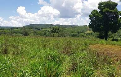 Imagem 13: Vendo Fazenda áceito carro ou dinheiro, não aceito troca em outro imóvel