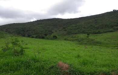 Imagem 7: Vendo Fazenda 53 Alqueires / 253 hectares