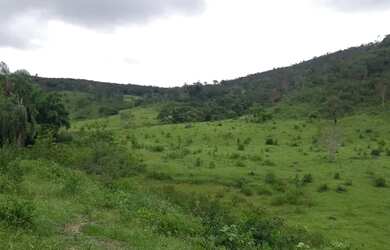 Imagem 6: Vendo Fazenda 53 Alqueires / 253 hectares