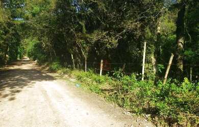 Imagem: O terreno possui 59.000m² de Área e está localizado em Canela