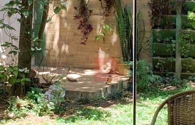 Imagem 3: Casa para aluguel tem 167 metros quadrados com 4 quartos em Jardim Novo...