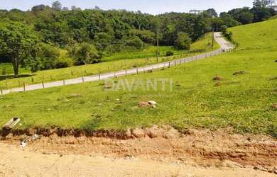 Imagem: O terreno possui 50000m² de Área e está localizado em Bosque