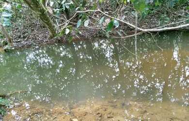 Imagem 5: Vendo fazenda. 