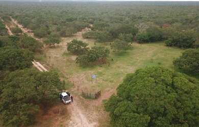 Imagem 7: Fazenda 15.416. Valor 61.664.000