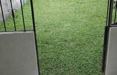 Imagem 8: Vendo Terreno grande com imóvel