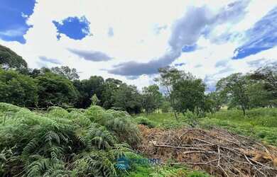 Imagem 10: Chácara com 2 ha de terra no São Victor Cohab