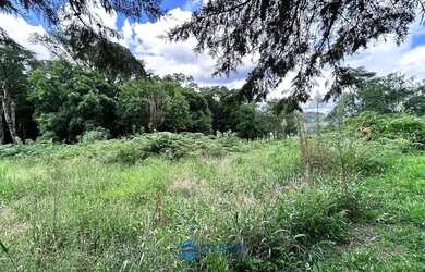 Imagem 5: Chácara com 2 ha de terra no São Victor Cohab