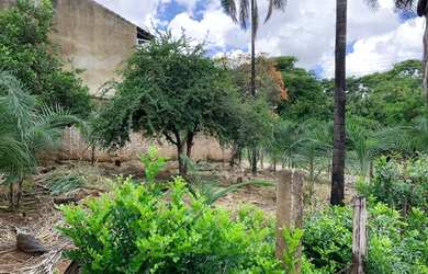 Imagem: O terreno possui 490m² de Área e está localizado em Setor