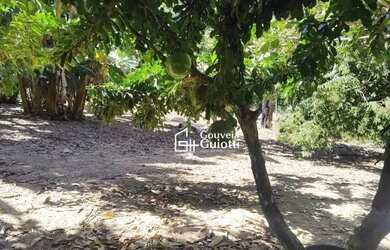 Imagem 15: Chácara à venda em Abadiânia - GO Riquíssima em água