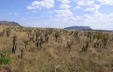 Imagem: A chácara possui 40.000m² de Área, Piscina e está localizado
