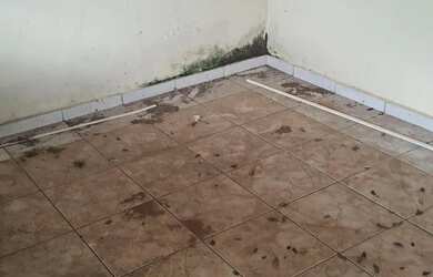 Imagem 16: Casa Vianelo para investidor