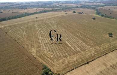 Imagem 4: Fazenda em Piracanjuba - GO