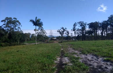 Imagem 14: Boa pra pasto ou plantio