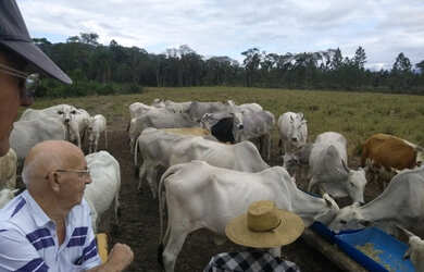 Imagem 1: Boa pra pasto ou plantio