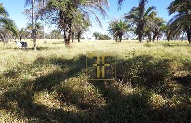 Imagem 3: Fazenda 152 Alqueires, Sao Luis De Montes Belos, GO