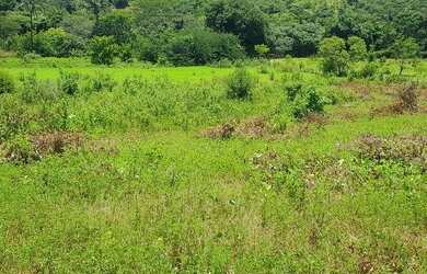 Imagem 16: Vendo Fazenda áceito carro ou dinheiro, não aceito troca em outro imóvel