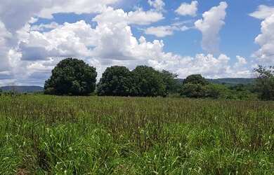 Imagem 11: Vendo Fazenda áceito carro ou dinheiro, não aceito troca em outro imóvel
